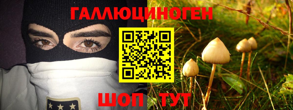 Псилоцибиновые грибы MAGIC MUSHROOMS Юрга