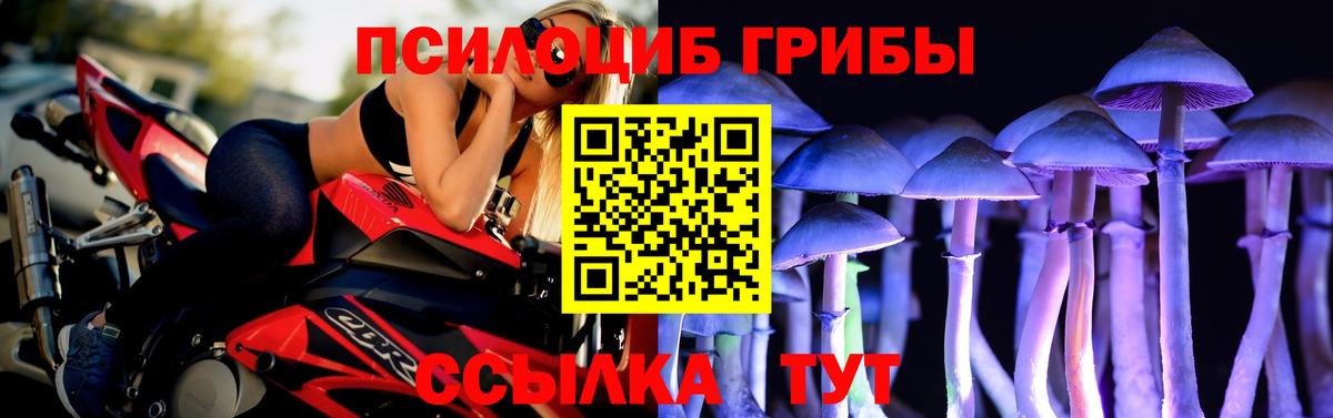 Юрга  Галлюциногенные грибы ЛСД  Вход с VPN 